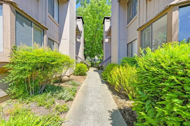 a view of a patio with a bench and plants