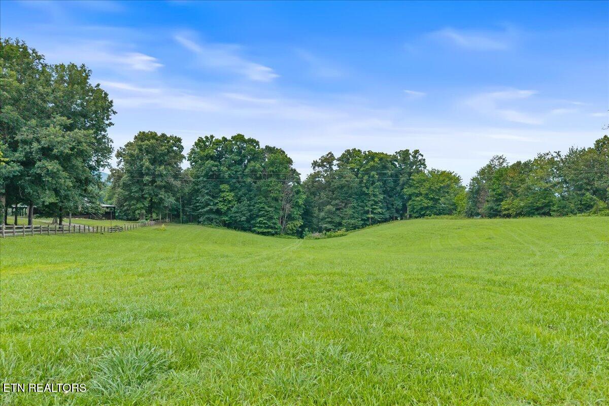 160 Rural Vale Road Tellico Plains, TN 37385 - Photo 51 of 51 51-160 Rural Vale Rd-51