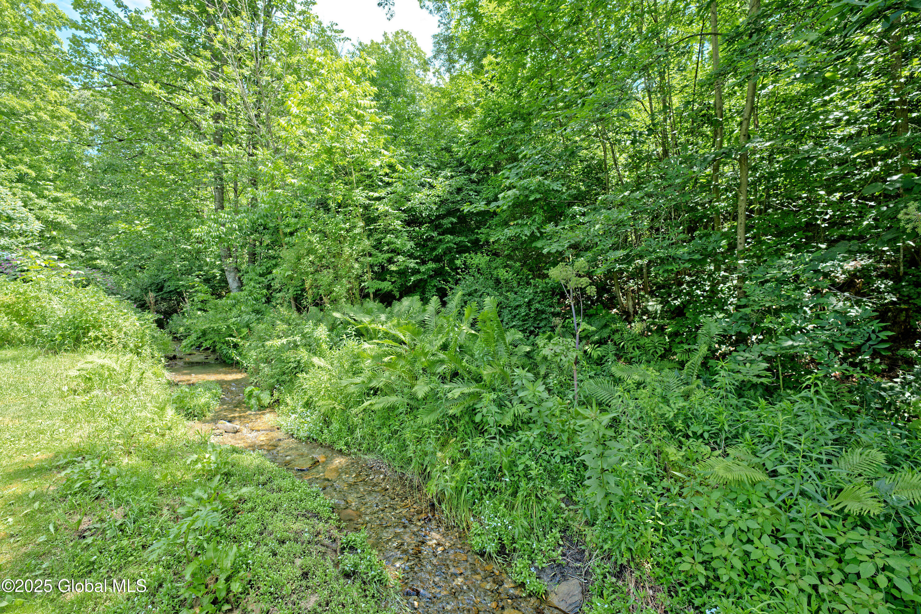 962 Camden Valley Road Salem, NY 12873 - Photo 51 of 60 Yard 4