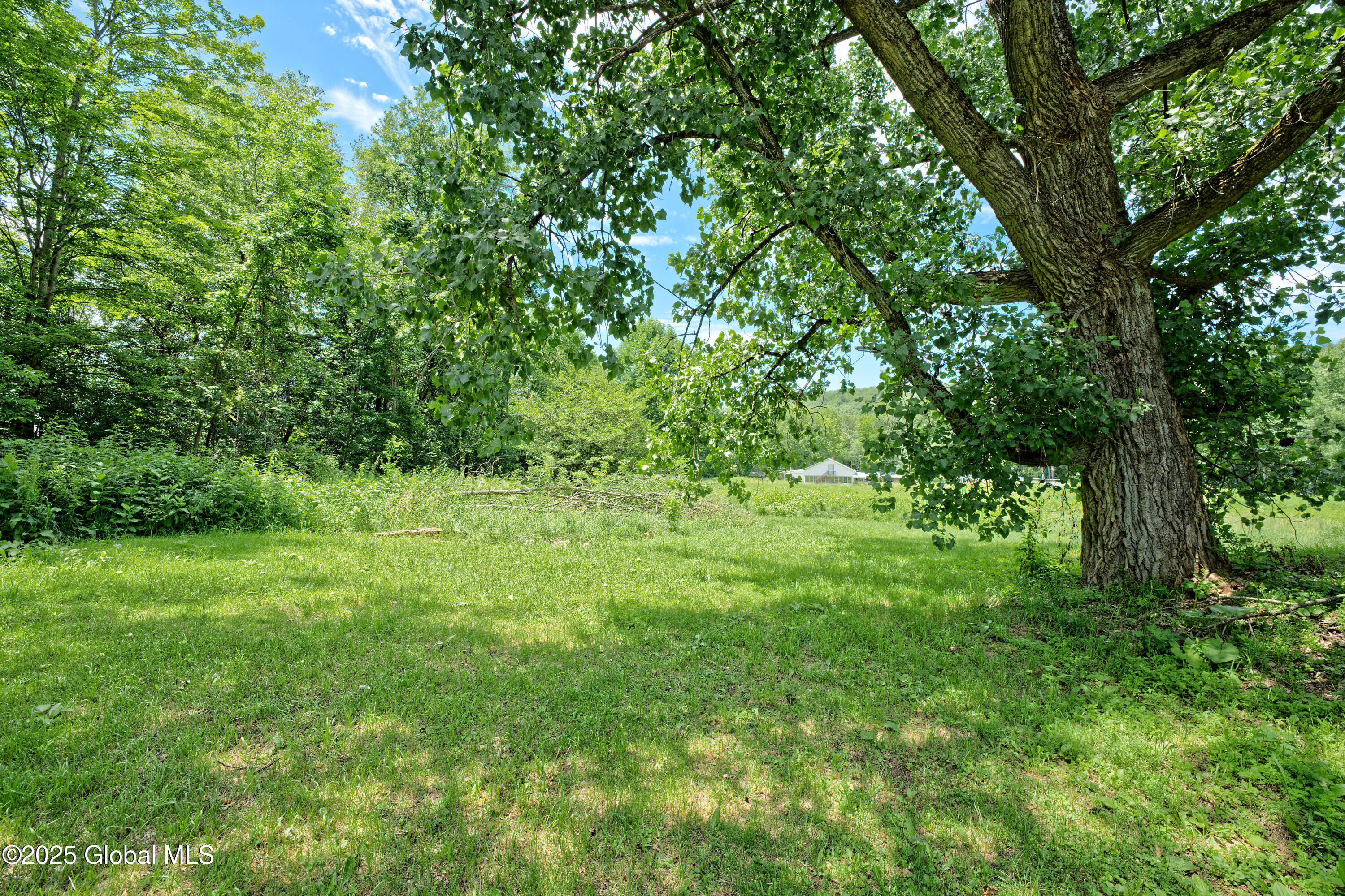 962 Camden Valley Road Salem, NY 12873 - Photo 57 of 60 Yard 11