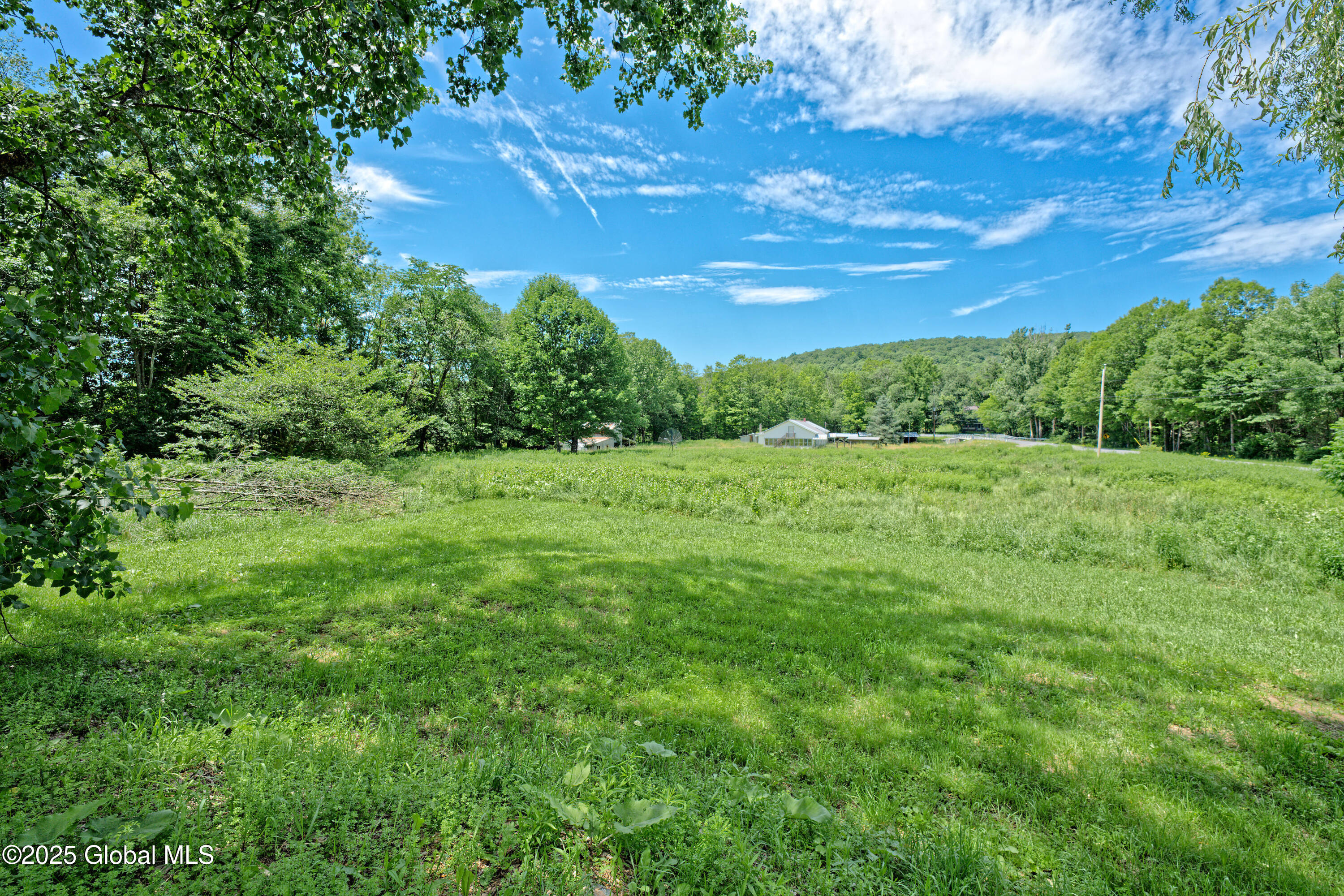 962 Camden Valley Road Salem, NY 12873 - Photo 58 of 60 Yard 12