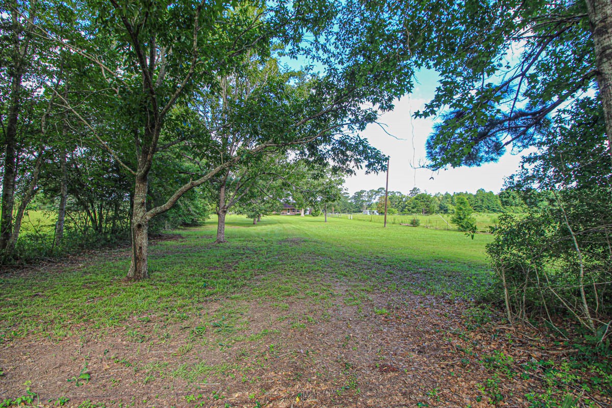 899 J Hickman Road Livingston, TX 77351 - Photo 12 of 48