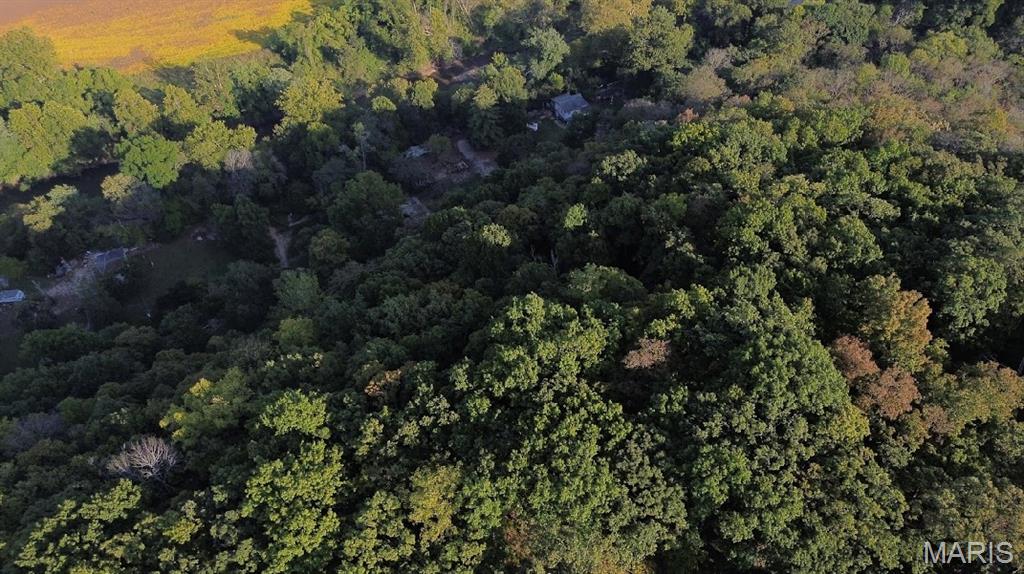 2865 State Road West Eureka, MO 63025 - Photo 5 of 12