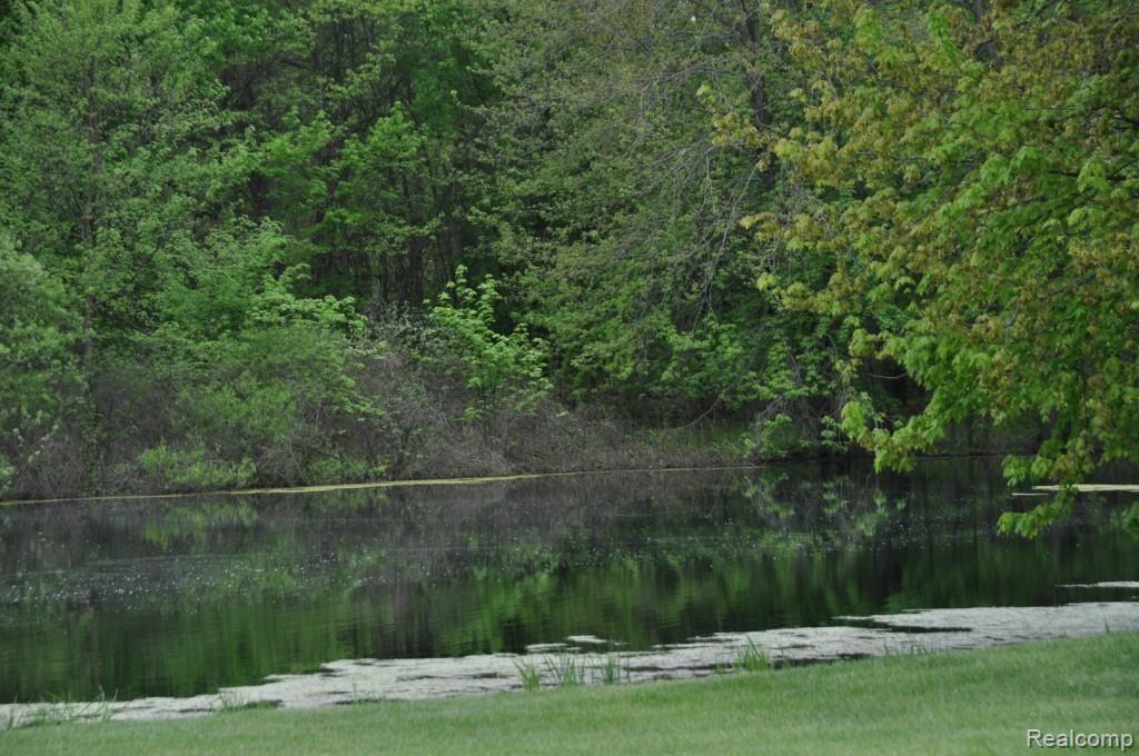 L2 Euler Road Brighton, MI 48114 - Photo 5 of 8