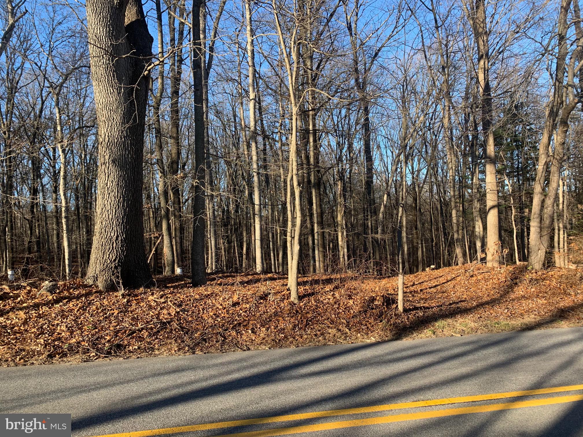 1306 Ivy Hill Road Cockeysville, MD 21030 - Photo 3 of 4