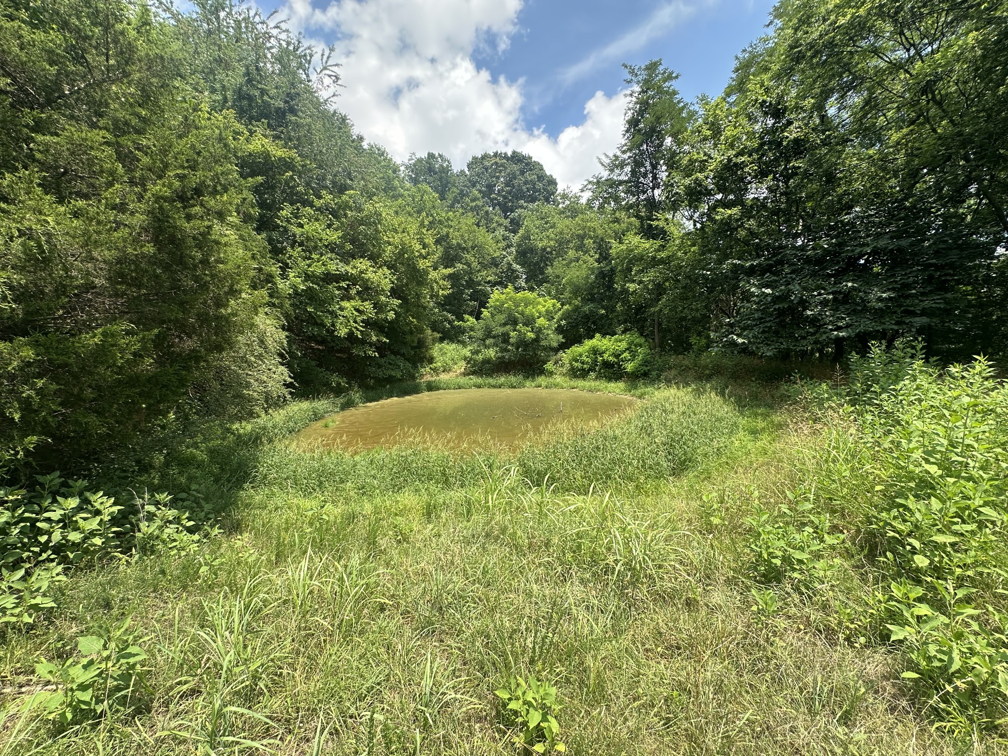 89 Conditt Hollow Road Elmwood, TN 38560 - Photo 8 of 13