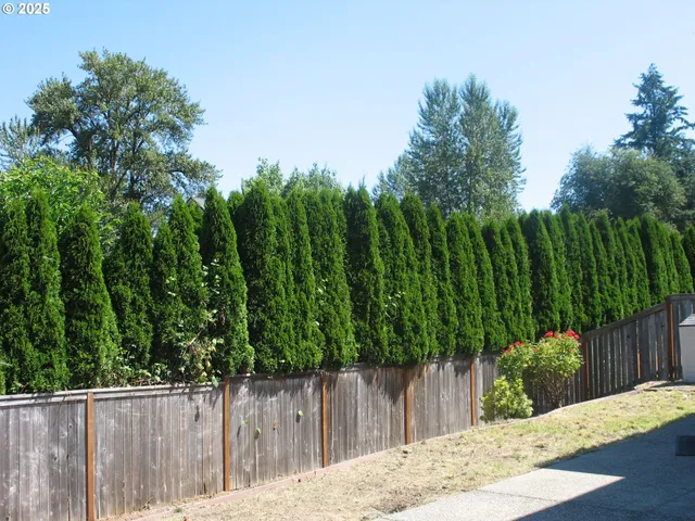 a view of a backyard with green space