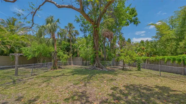 a view of a yard with plants
