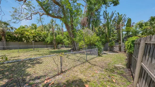 a view of a tree in the middle of a yard