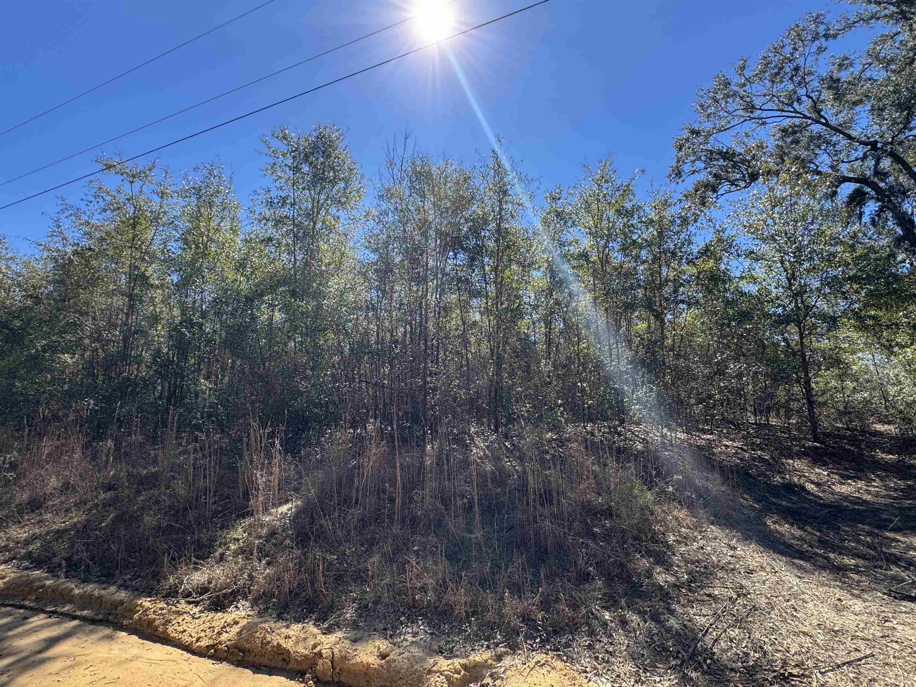 Northeast Rocky Ford Road Pinetta, FL 32350 - Photo 11 of 17