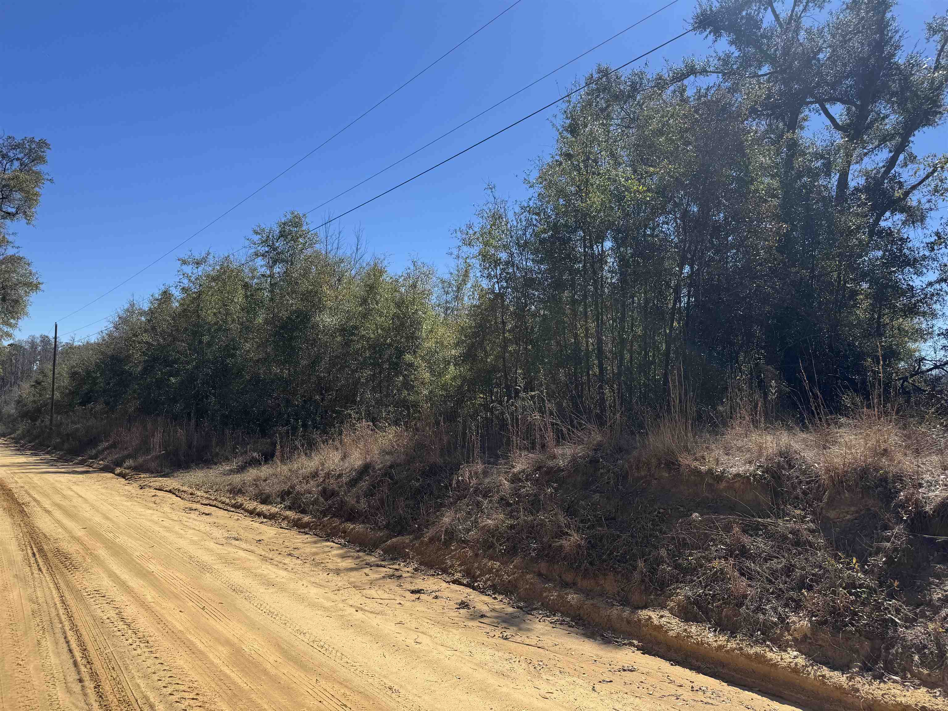 Northeast Rocky Ford Road Pinetta, FL 32350 - Photo 12 of 17