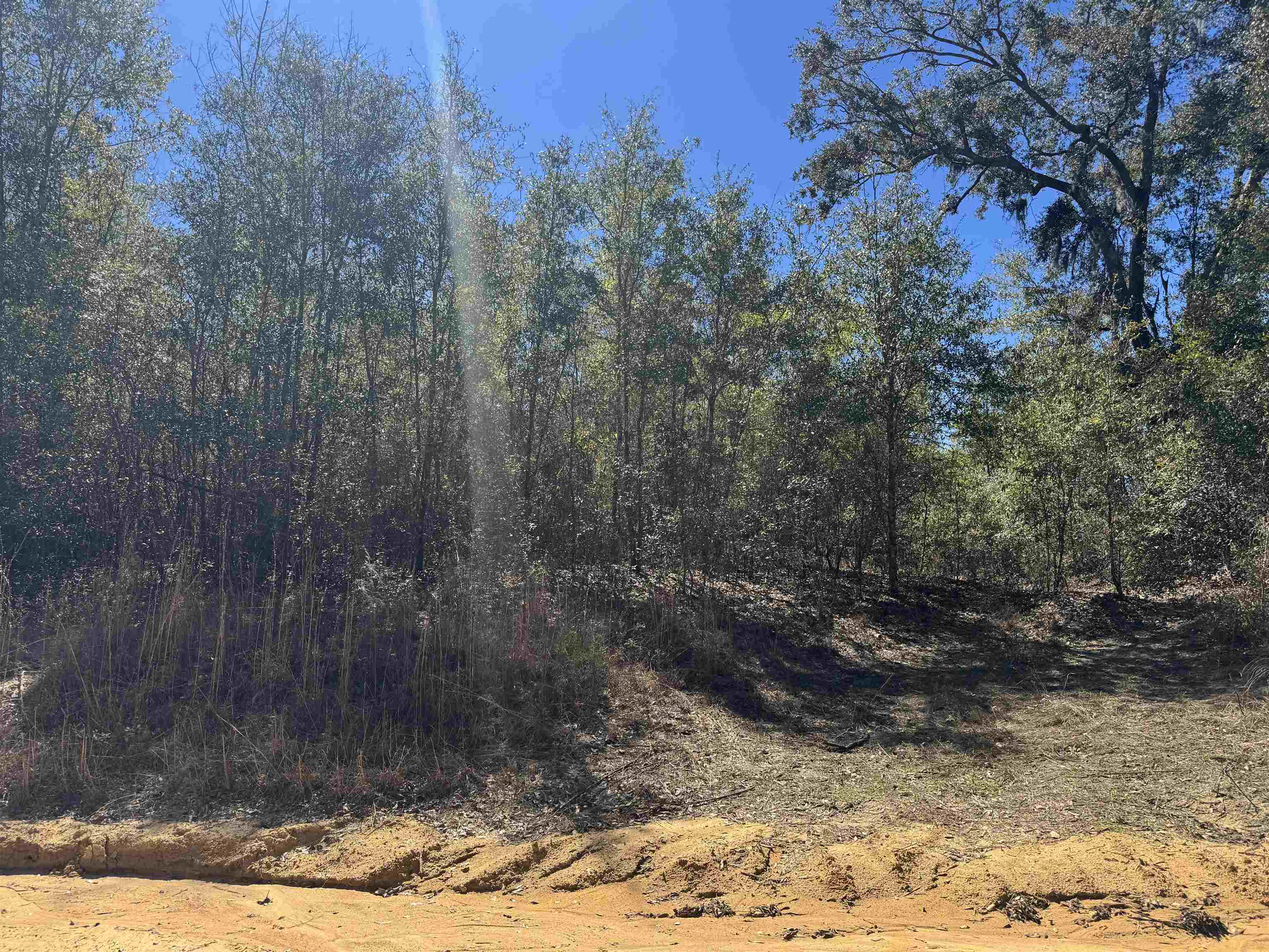 Northeast Rocky Ford Road Pinetta, FL 32350 - Photo 14 of 17