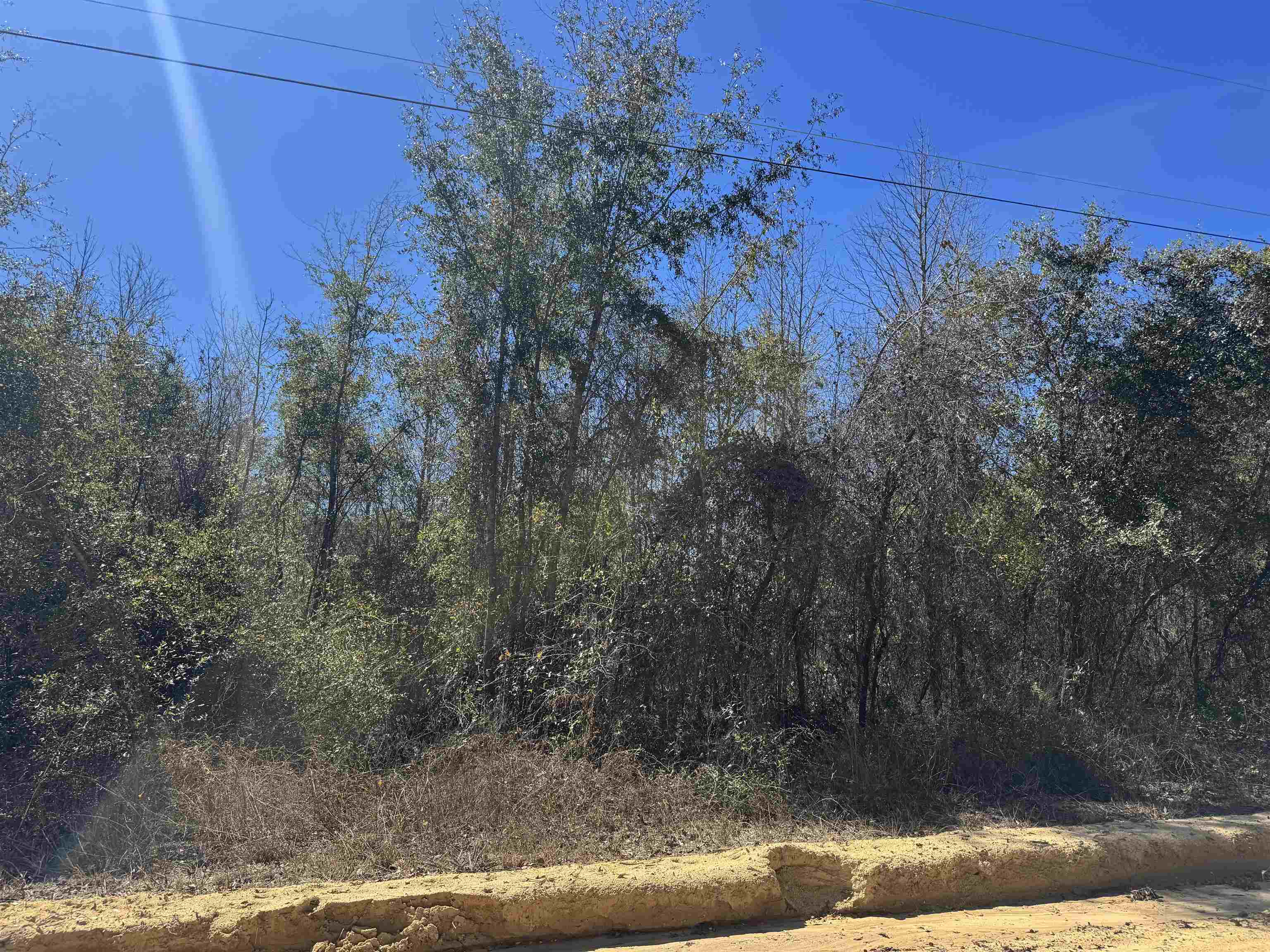 Northeast Rocky Ford Road Pinetta, FL 32350 - Photo 15 of 17