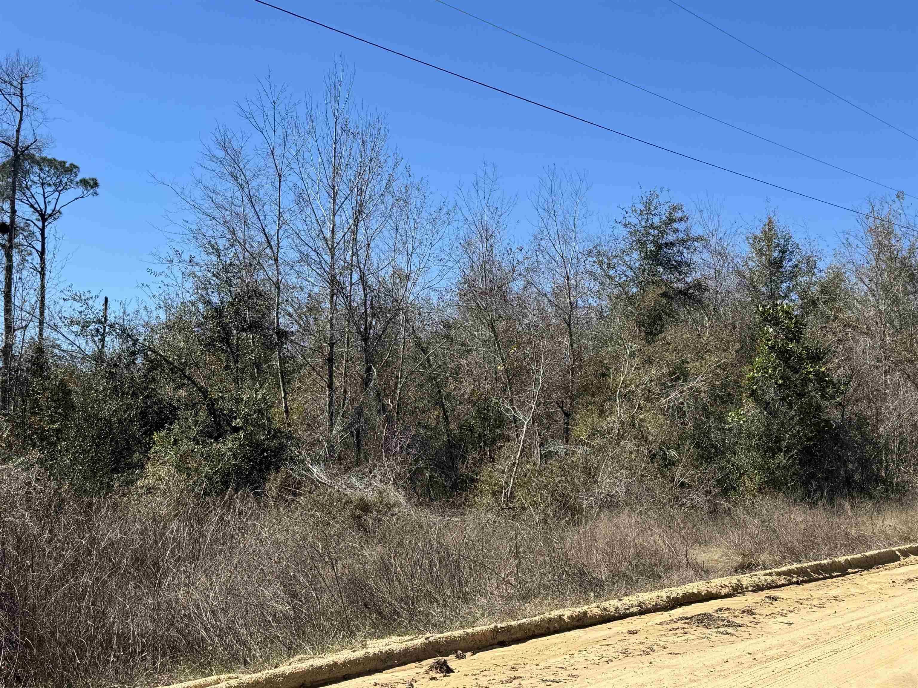 Northeast Rocky Ford Road Pinetta, FL 32350 - Photo 16 of 17
