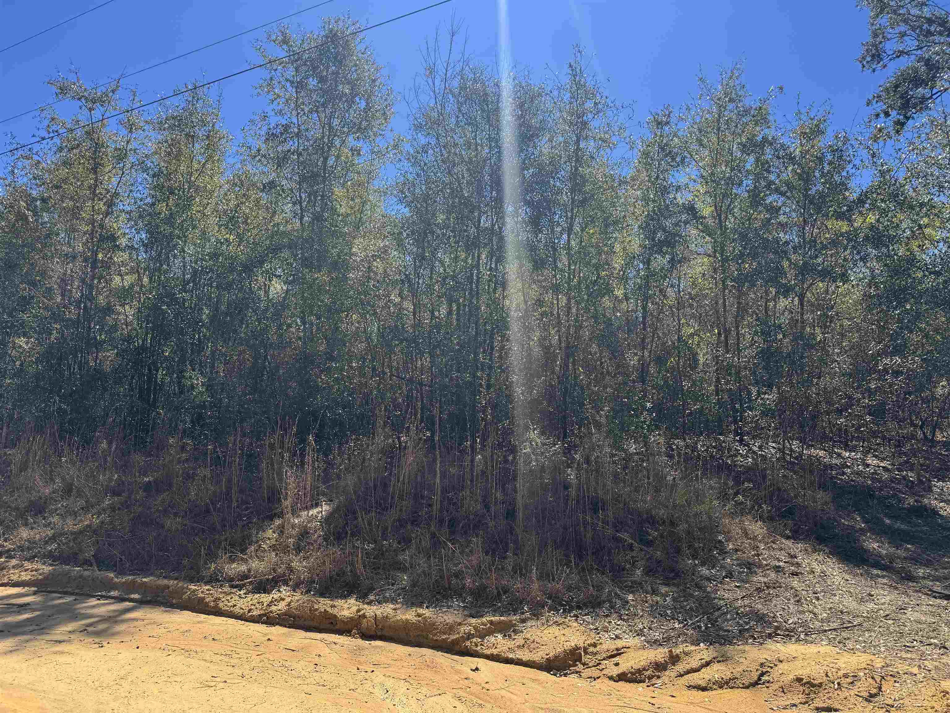 Northeast Rocky Ford Road Pinetta, FL 32350 - Photo 17 of 17