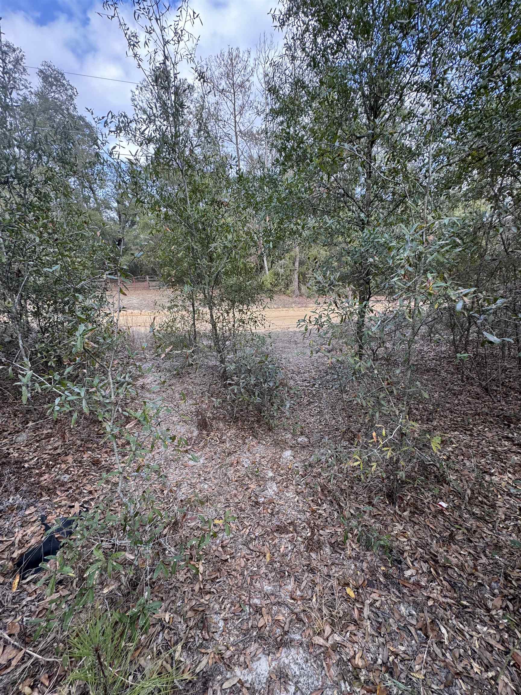 Northeast Rocky Ford Road Pinetta, FL 32350 - Photo 5 of 17