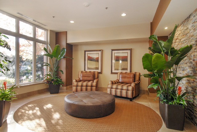1199 East Port Clinton Road, Unit 208 Vernon Hills, IL 60061 - Photo 13 of 19 a living room with furniture potted plant and a large window