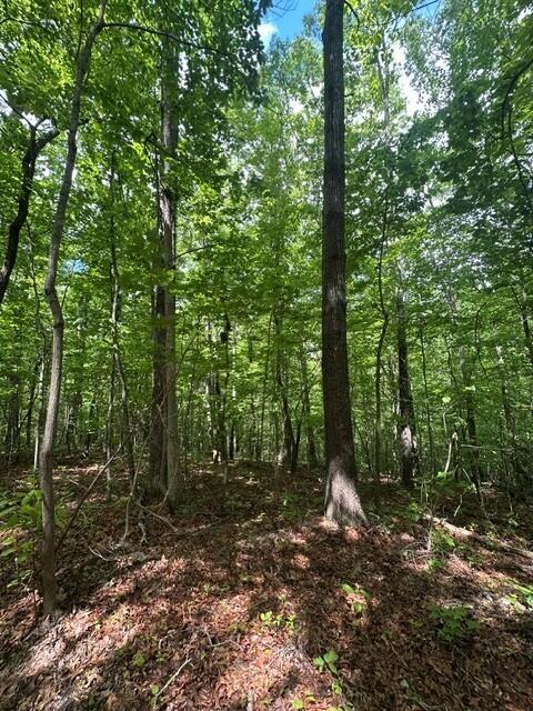 142 Cole Road Deer Lodge, TN 37726 - Photo 26 of 77 34