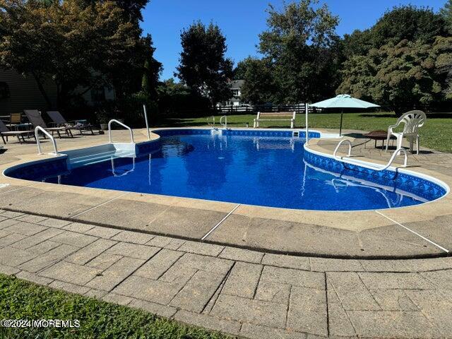 13 Old Mill Road Holmdel, NJ 07733 - Photo 4 of 27 Pool4