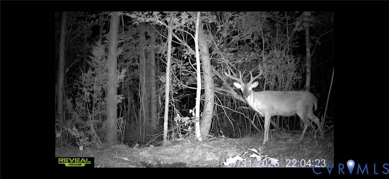 663.8-acres Peach Road Chesapeake, VA 23321 - Photo 3 of 46 Gallery Image 3