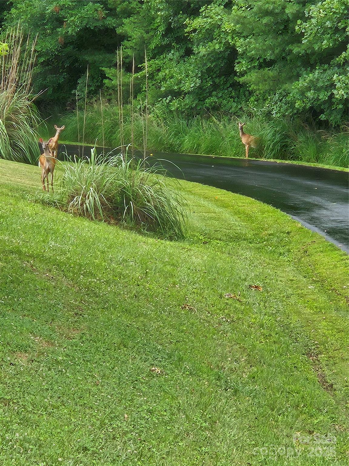 9999 Settlers Trail, Unit 53 Stanfield, NC 28163 - Photo 3 of 16 a view of a park