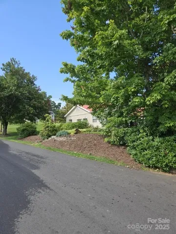 a view of a field with plants and trees