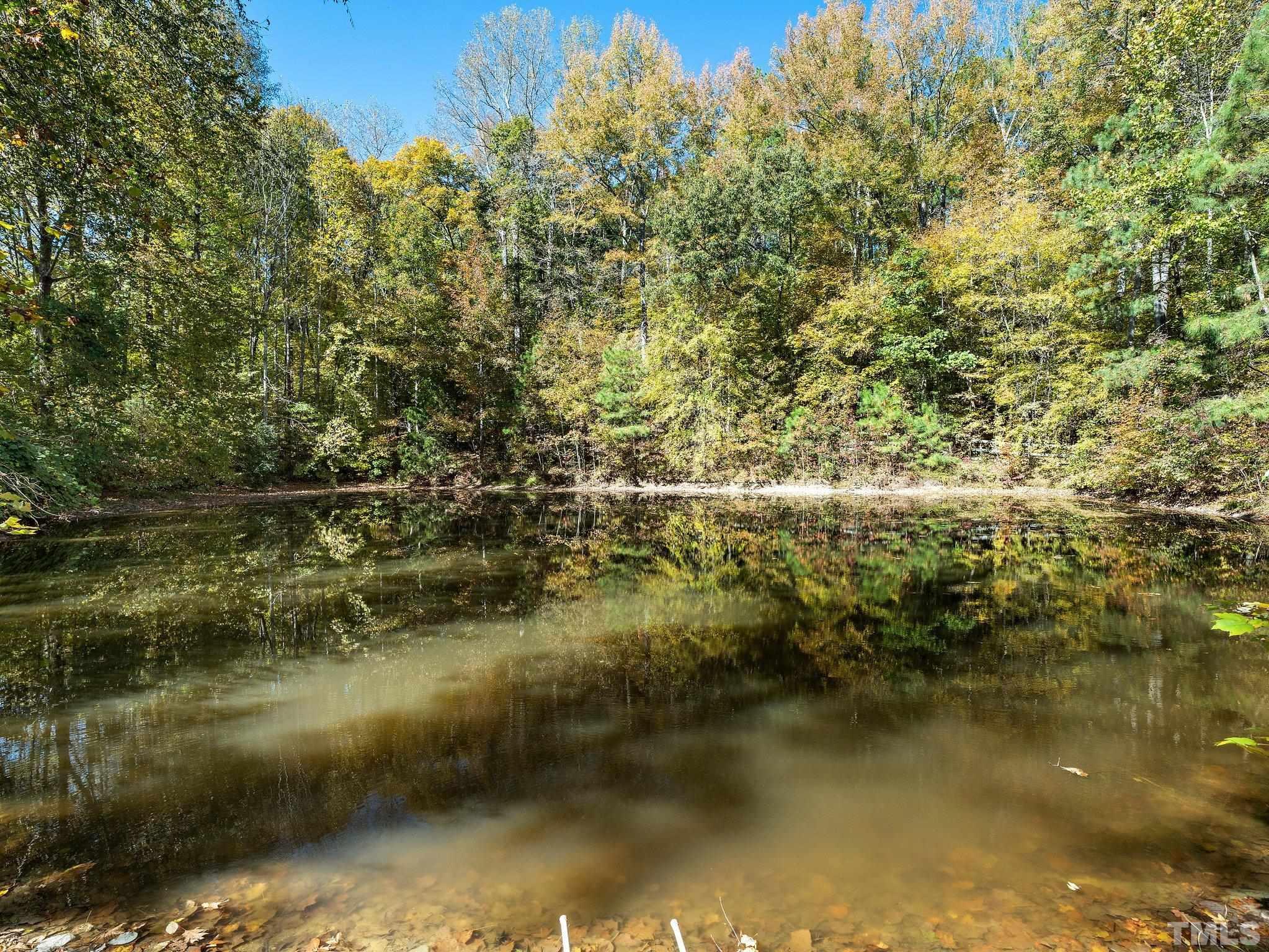 78 Walter Grissom Road Kittrell, NC 27544 - Photo 4 of 47 Gallery Image 4
