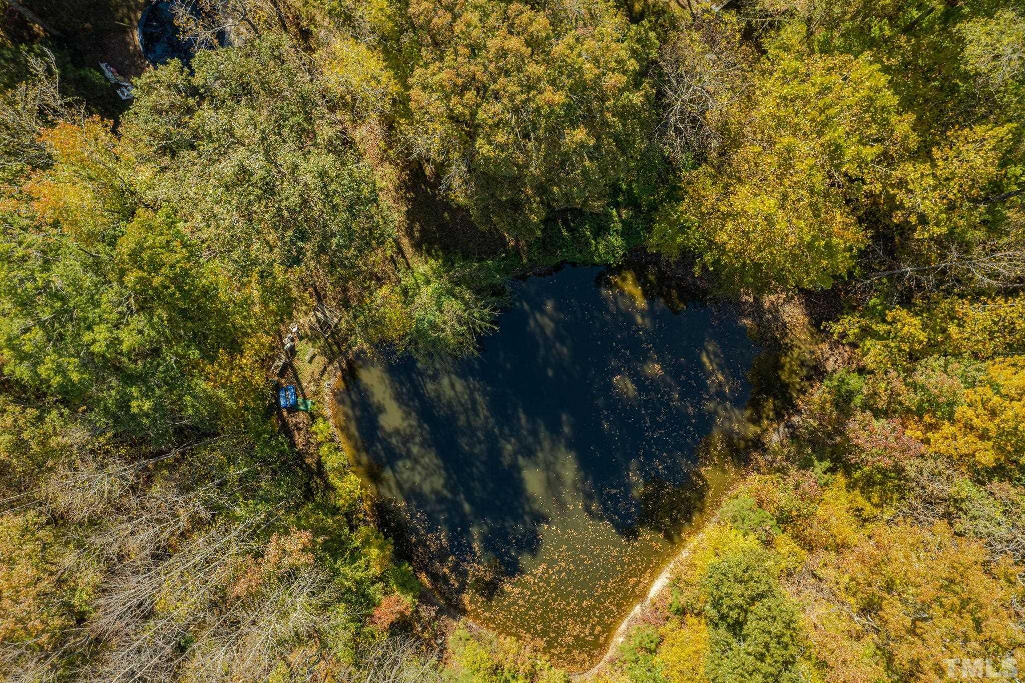 78 Walter Grissom Road Kittrell, NC 27544 - Photo 45 of 47 Gallery Image 45