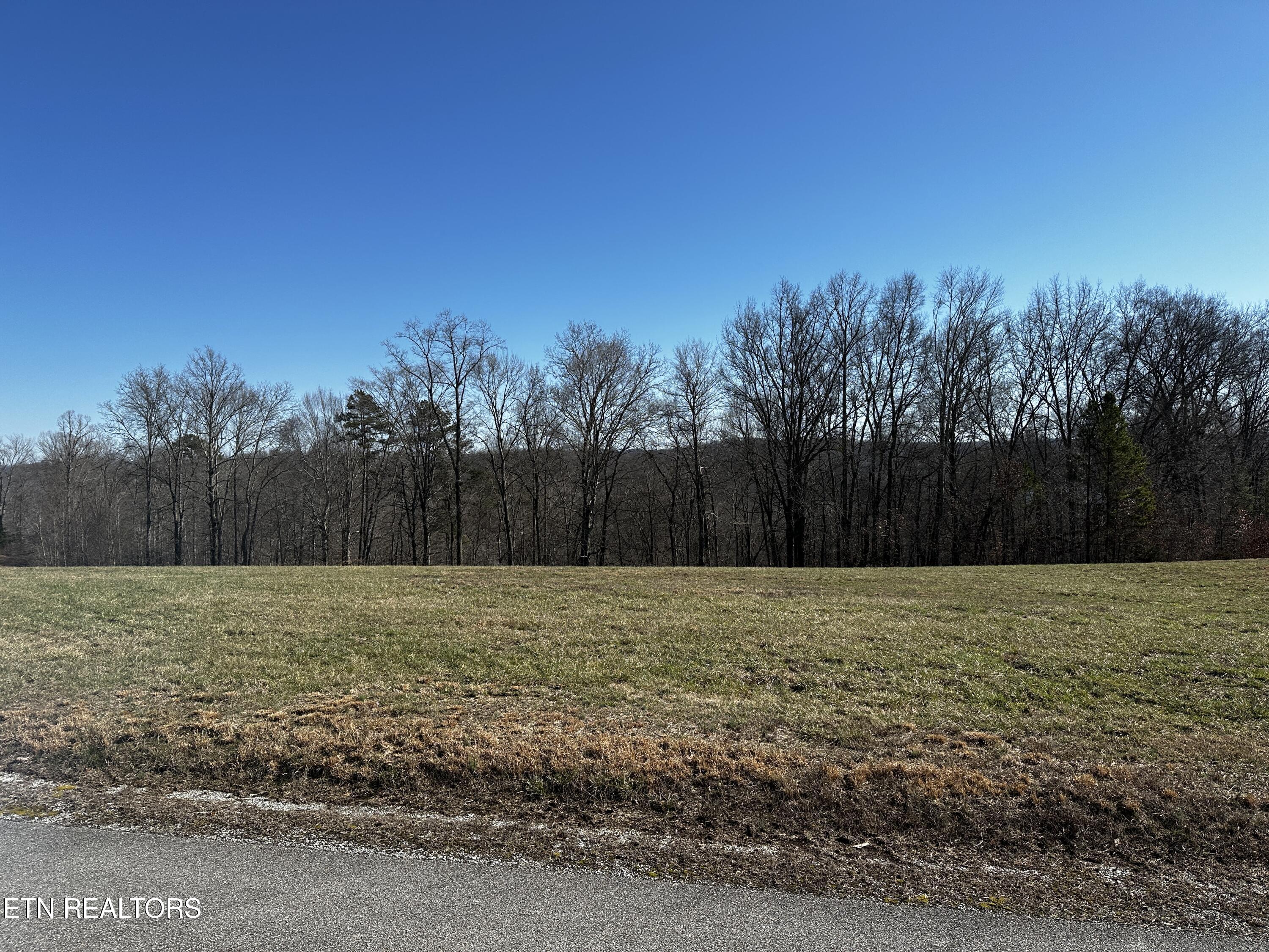 535 Prestige Ridge La Follette, TN 37766 - Photo 12 of 31 IMG_2116