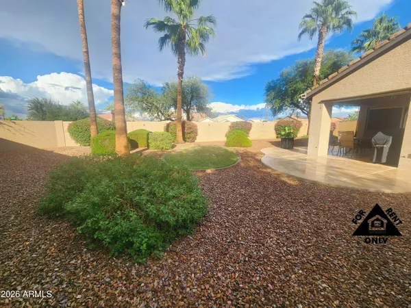 a view of a backyard