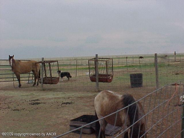 15501 Gordon-Cummings Road Canyon, TX 79015 - Photo 17 of 19 Pens