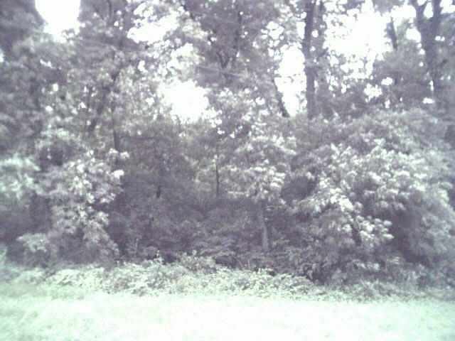 0 East Walnut Grove Road Davis, IL 61019 - Photo 1 of 1 a backyard of a house