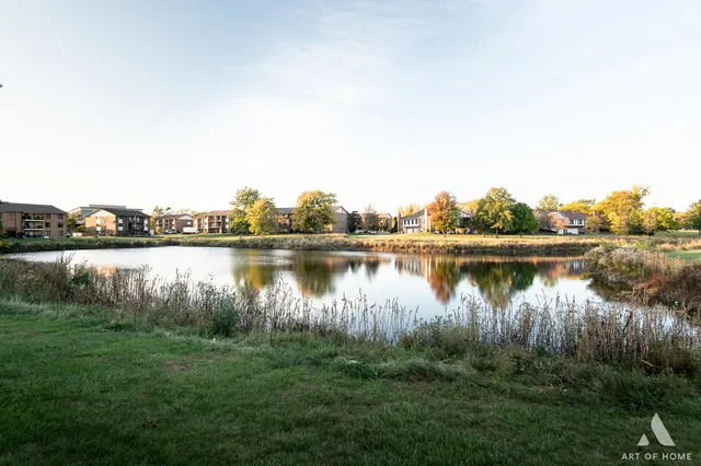 a view of a lake in between two large trees