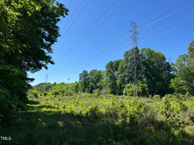 a view of a bunch of trees and bushes