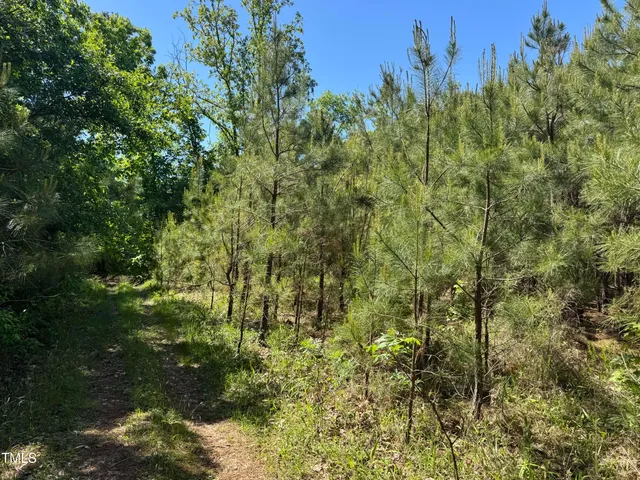 a view of a swimming pool with a building in the background