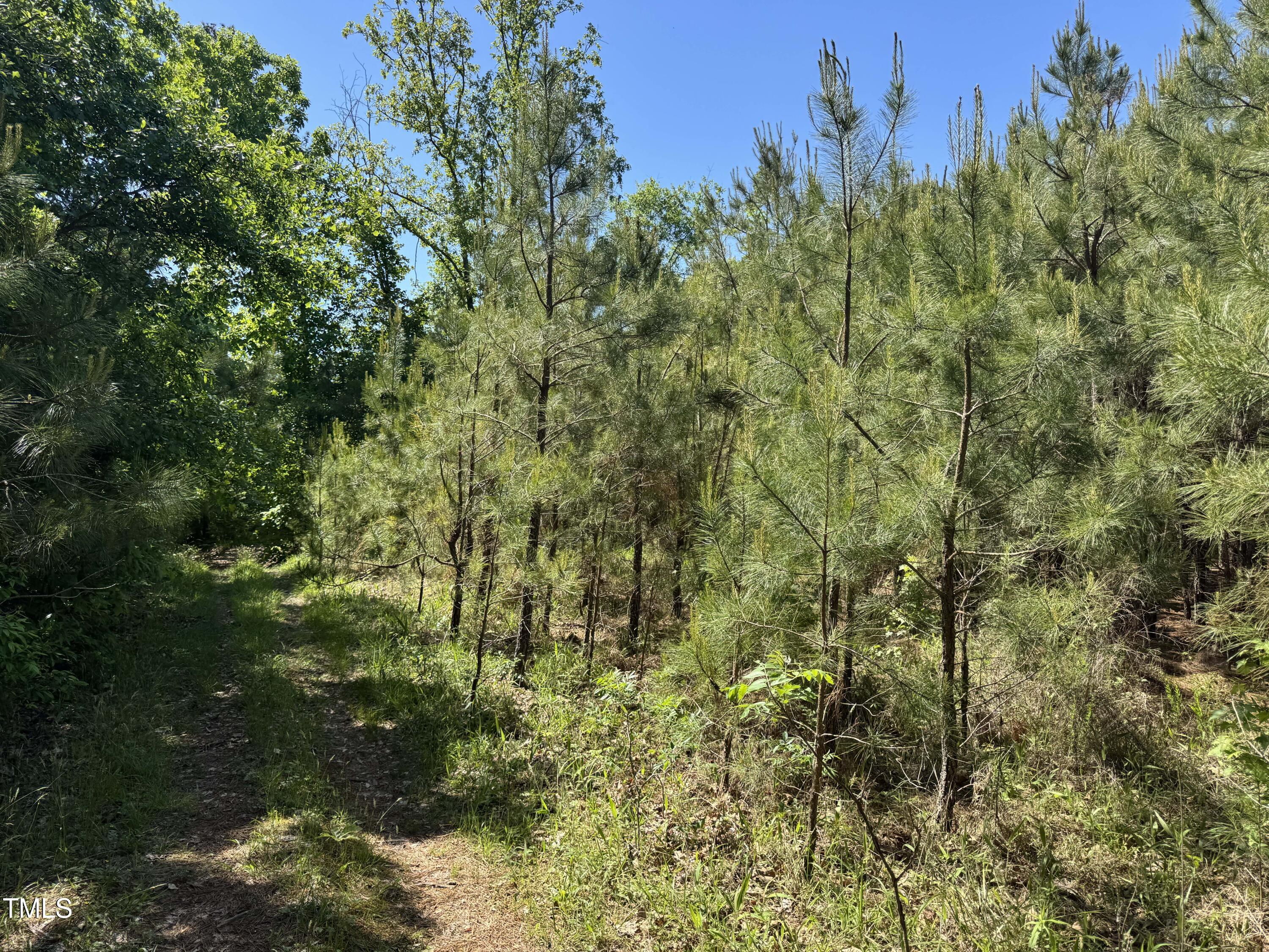 1000 Hopson Road Extension Durham, NC 27713 - Photo 15 of 18 Perimeter Road