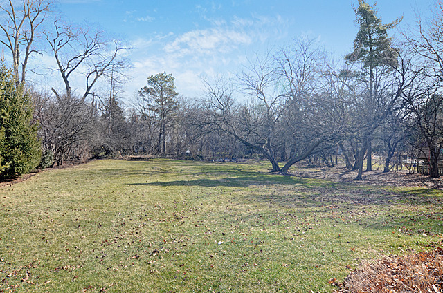 851 South County Line Road Hinsdale, IL 60521 - Photo 25 of 25 a view of a yard with a house