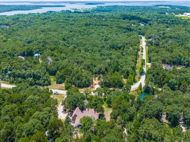 a view of a forest with a house