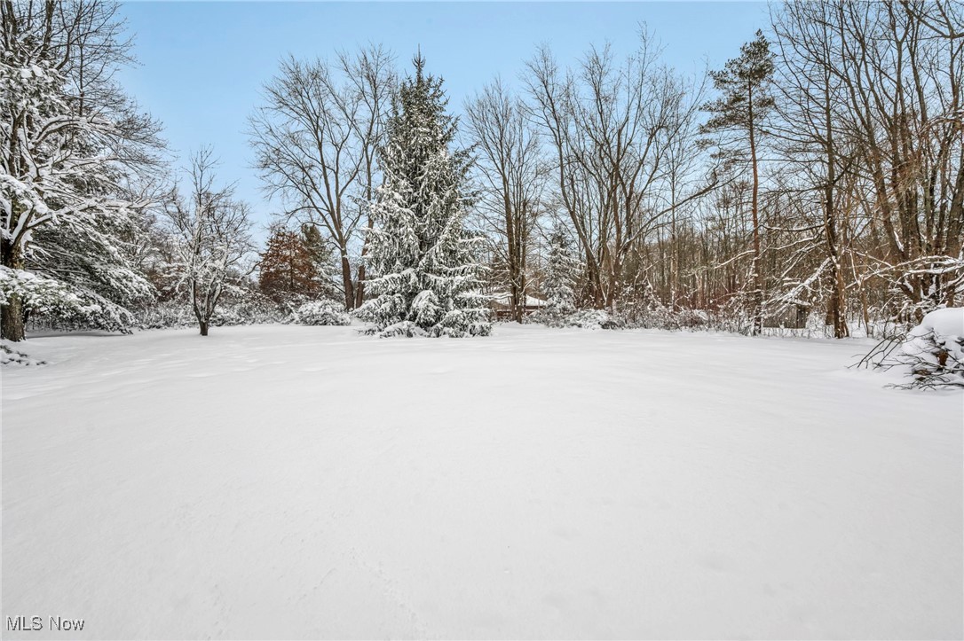 8564 Cedar Road Chesterland, OH 44026 - Photo 40 of 43