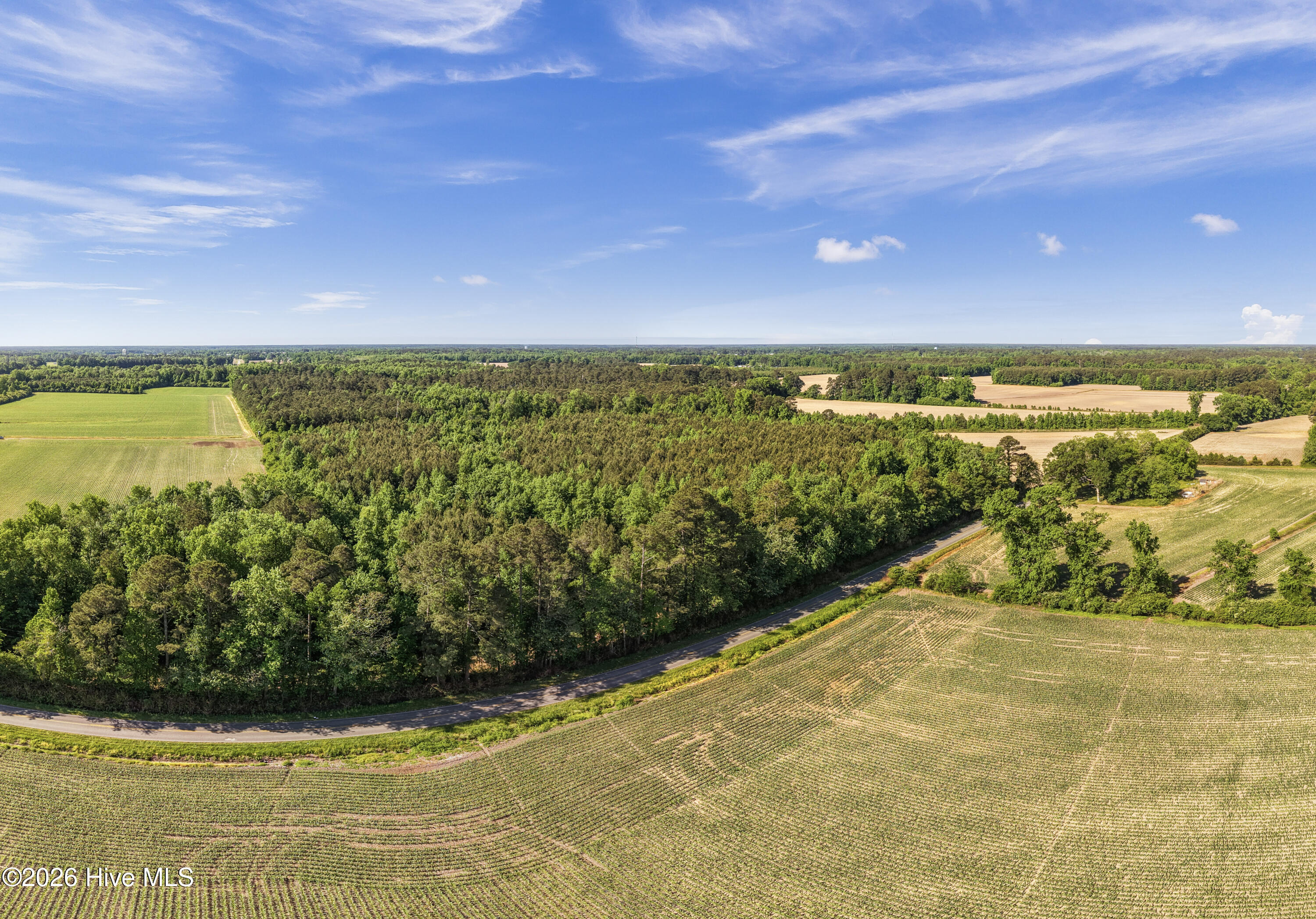 26-acres High School Road Teachey, NC 28464 - Photo 15 of 23 20-001_0087_pano