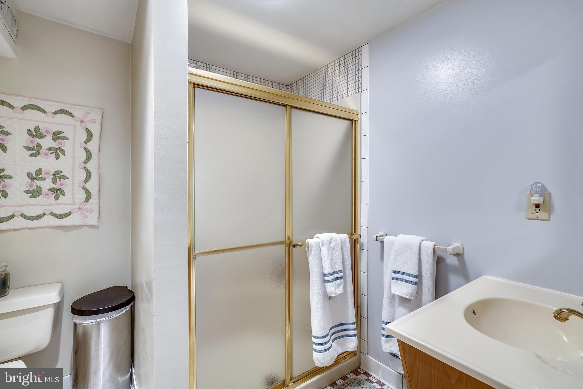 8539 Edenton Road Fulton, MD 20759 - Photo 33 of 39 Lower Level full bath