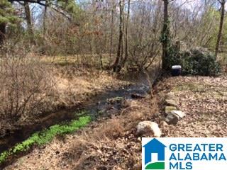 769 Chandler Mountain Road Steele, AL 35987 - Photo 31 of 41