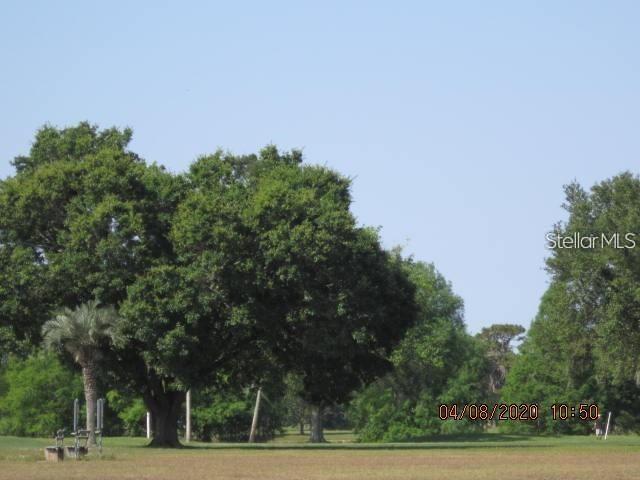Calendula Drive Frostproof, FL 33843 - Photo 6 of 13 a view of a yard with plants and trees