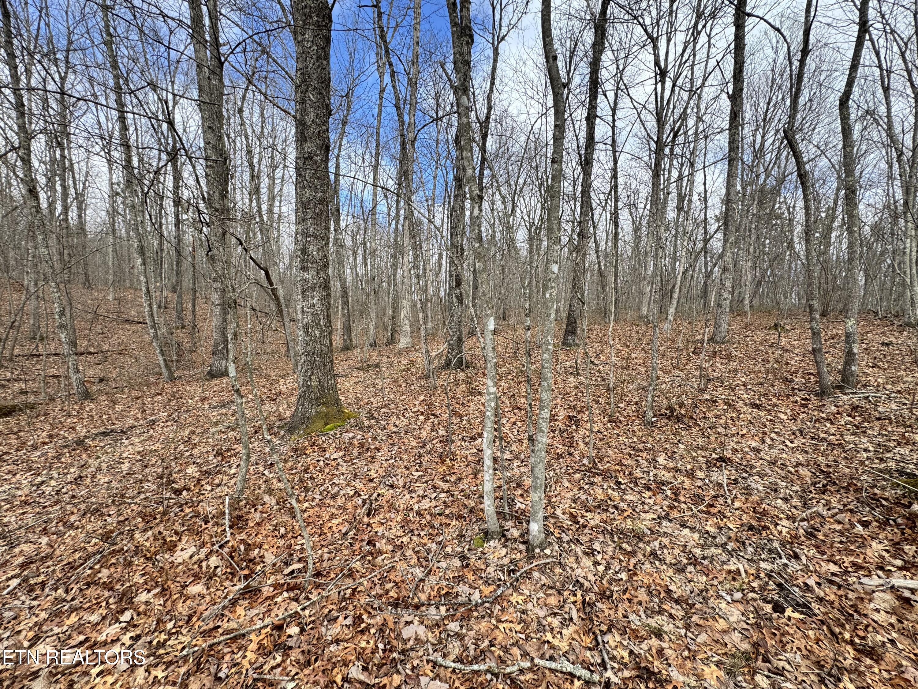 1552 Wilson Ridge Road Jamestown, TN 38556 - Photo 23 of 25 IMG_2872