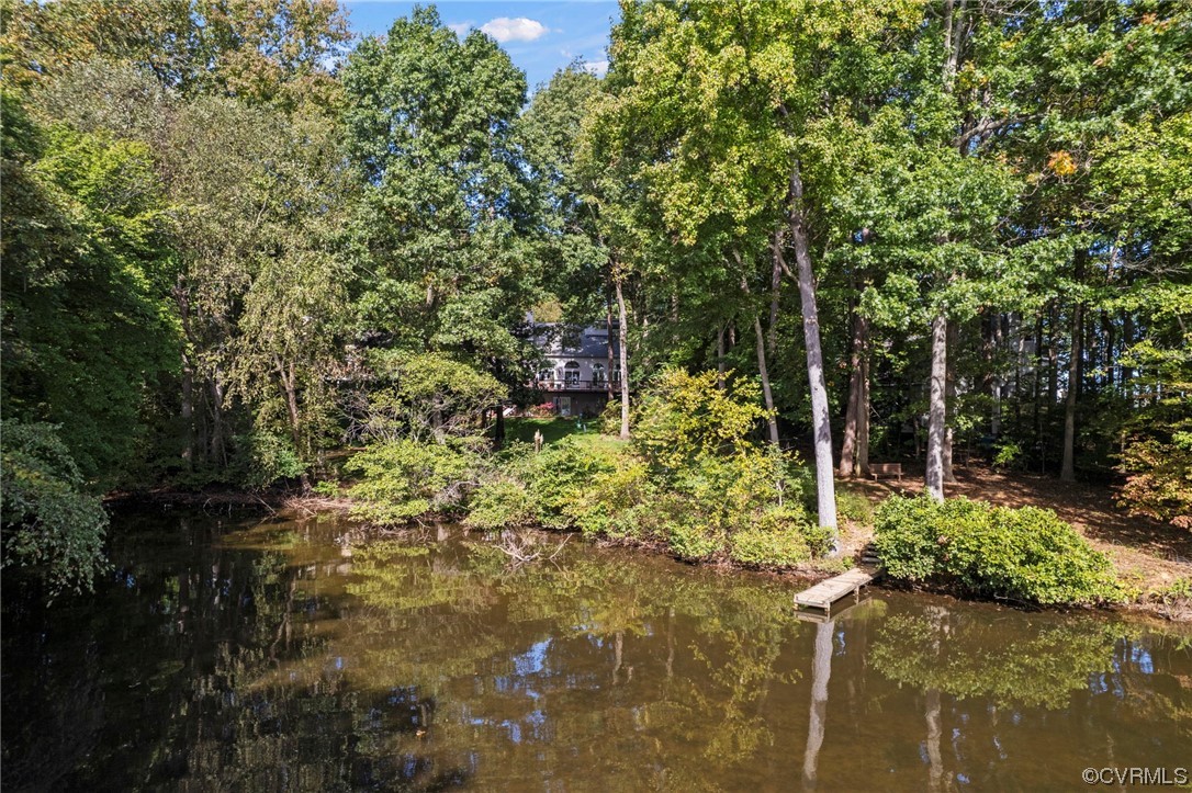 13703 Beechwood Point Road Midlothian, VA 23112 - Photo 45 of 50 a view of a garden