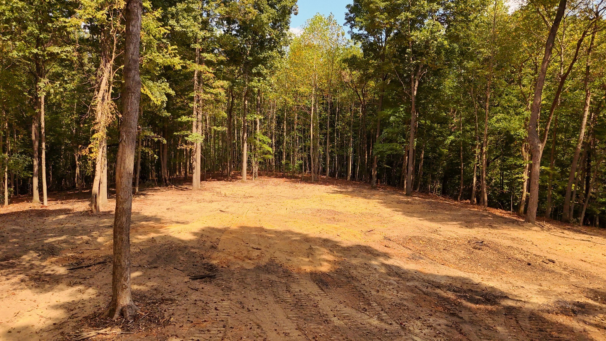 a street view covered with snow