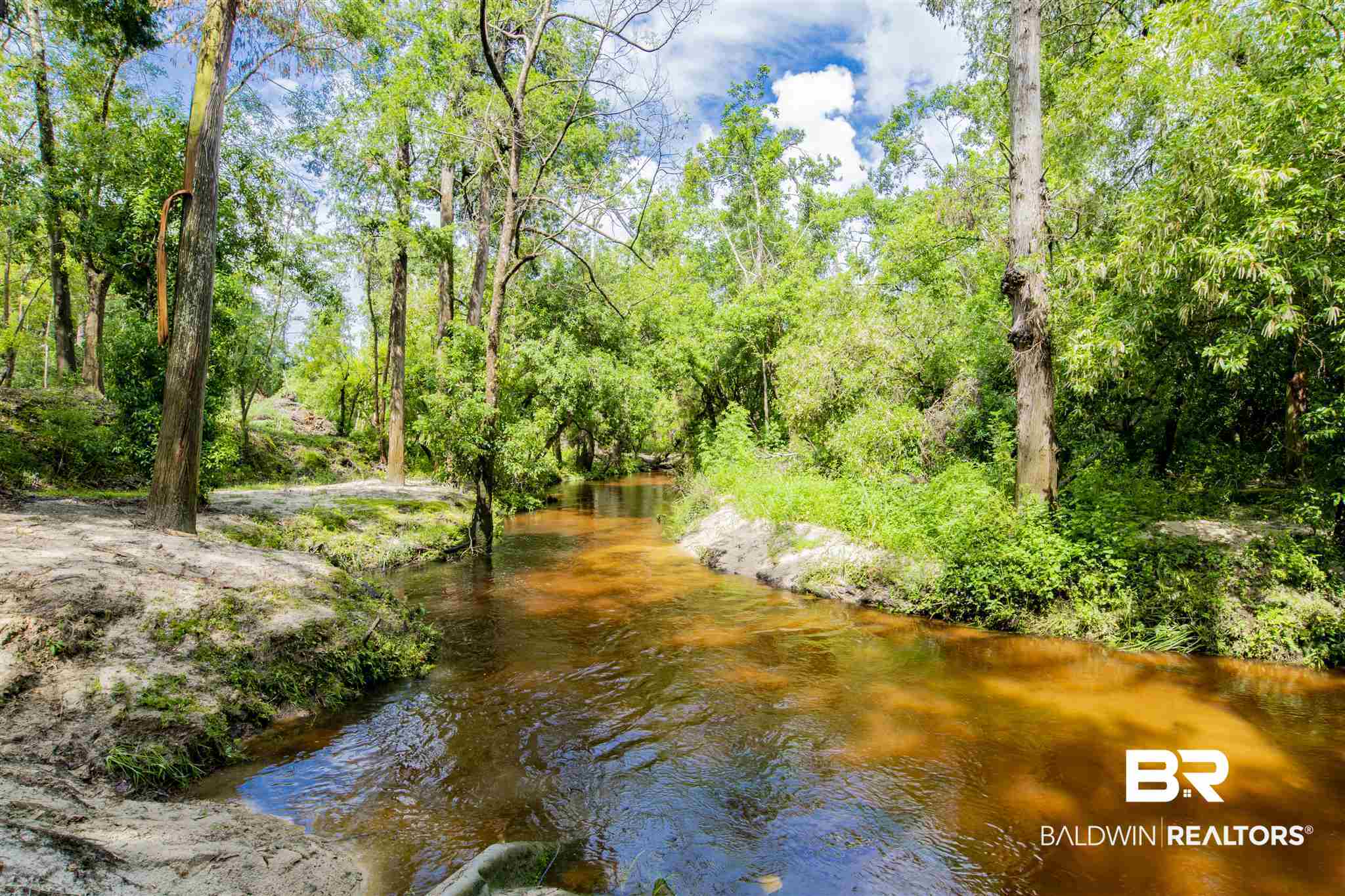 12423 County Road 87, Unit 87 Elberta, AL 36530 - Photo 15 of 50