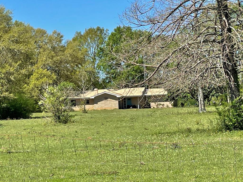40 Mesa Road Tylertown, MS 39667 - Photo 1 of 16 Main View