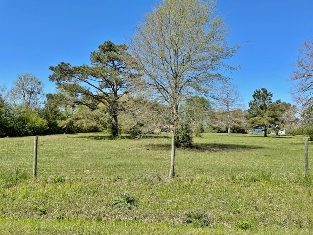 40 Mesa Road Tylertown, MS 39667 - Photo 2 of 16 Photo 2