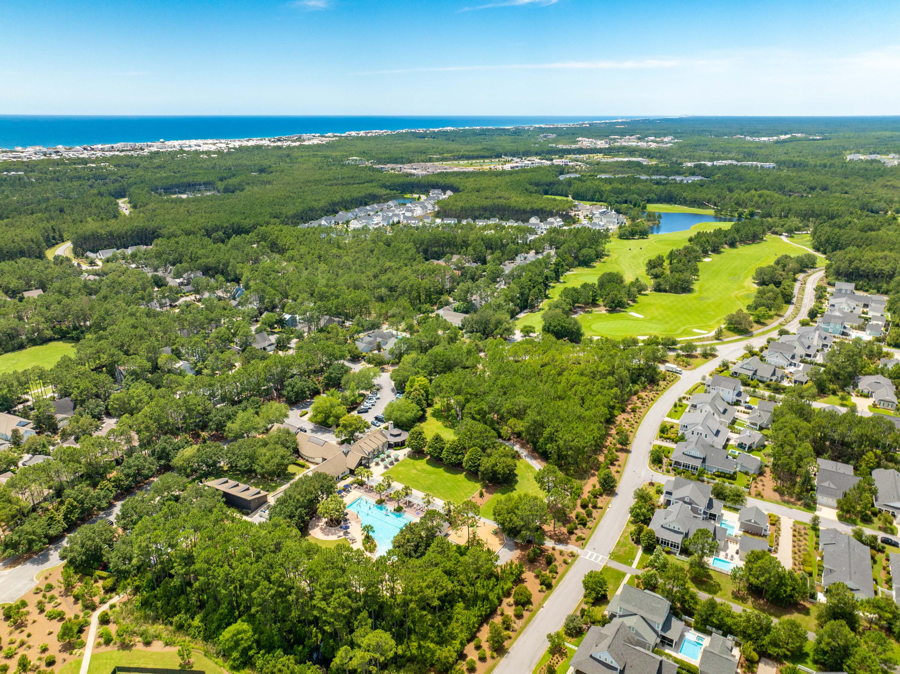 770 Breakers Street Inlet Beach, FL 32461 - Photo 61 of 62 770 Breakers Aerial-9